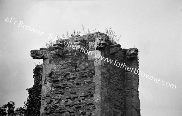 CLOISTER S.W.TOWER OF GREAT HALL